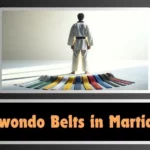 Taekwondo Belts in Martial Arts