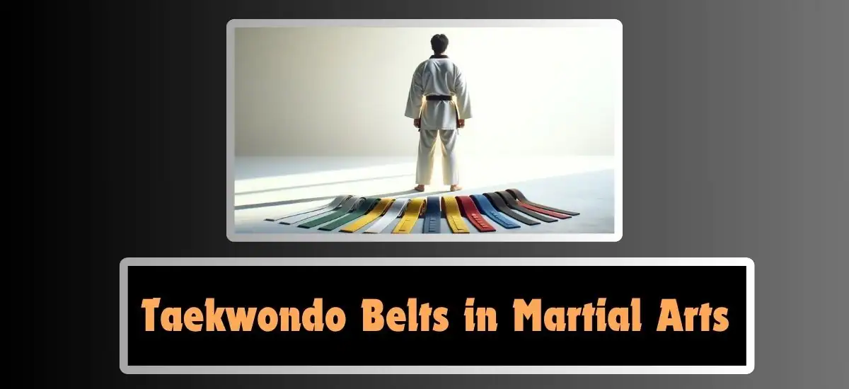 Taekwondo Belts in Martial Arts